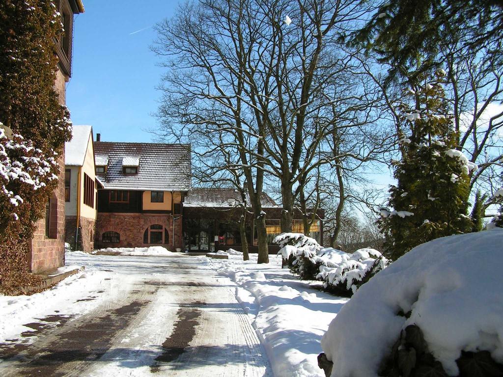 Burghof Kyffhaeuser Hotel Bad Frankenhausen Exterior photo